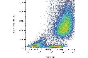 Flow cytometry analysis (surface staining) of IL-4 and GM-CSF stimulated human peripheral blood cells with anti-human CD1b (SN13) PE. (CD1b antibody  (PE))