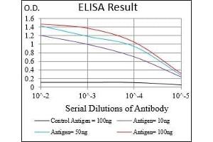 Black line: Control Antigen (100 ng), Purple line: Antigen(10 ng), Blue line: Antigen (50 ng), Red line: Antigen (100 ng), (Retinoblastoma 1 antibody  (AA 2106-2784))