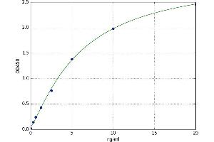 Chemokine (C-C Motif) Receptor 8 (CCR8) ELISA Kit