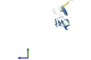AlphaFold protein structure predicition of Human Recombinant NDC80 Protein, UniprotID O14777 (NDC80 Protein (AA 1-642) (His tag))