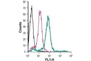 Flow Cytometry (FACS) image for anti-Pyrimidinergic Receptor P2Y, G-Protein Coupled, 6 (P2RY6) (AA 172-186), (Extracellular) antibody (FITC) (ABIN7043592)