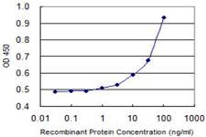 Detection limit for recombinant GST tagged GALNT14 is 3 ng/ml as a capture antibody. (GALNT14 antibody  (AA 494-551))
