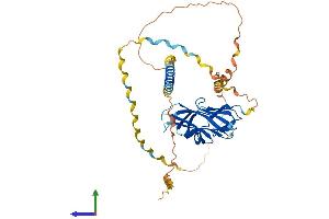 AlphaFold protein structure predicition of Mouse Recombinant Eda Protein, UniprotID O54693