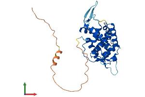 AlphaFold protein structure predicition of Human Recombinant GOLPH3 Protein, UniprotID Q9H4A6 (GOLPH3 Protein (AA 1-298) (His tag))