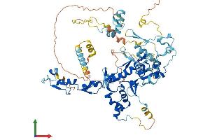 AlphaFold protein structure predicition of Mouse Recombinant Fbxo40 Protein, UniprotID P62932 (FBXO40 Protein (AA 1-710) (His tag))