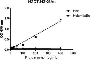 Sandwich ELISA against acetylated Histone H3 at Lys 9 using HeLa whole cell lysate, treated or untreated with sodium butyrate, using recombinant Histone H3 antibody (1ug/ml) as the capture and biotinylated anti-H3K9ac (RM161, 1ug/ml) as the detect. (Recombinant Histone 3 antibody  (C-Term, pan))