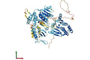 AlphaFold protein structure predicition of Human Recombinant ERCC3 Protein, UniprotID P19447 (ERCC3 Protein (AA 1-782) (His tag))