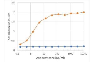 Binding curve of anti-CD27 antibody LG. (Recombinant CD27 antibody)