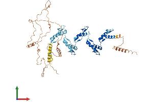 AlphaFold protein structure predicition of Human Recombinant ZNF677 Protein, UniprotID Q86XU0 (ZNF677 Protein (AA 1-584) (His tag))