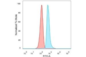Flow Cytometric Analysis of PFA-fixed HeLa cells. (DMRT2 antibody)