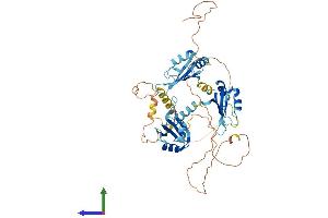 AlphaFold protein structure predicition of Human Recombinant CELF2 Protein, UniprotID O95319