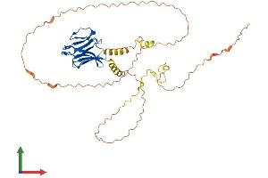 Protein Structure (PS) image for Intermediate Filament Tail Domain Containing 1 (IFLTD1) (AA 1-388) protein (His tag) (ABIN7549049)