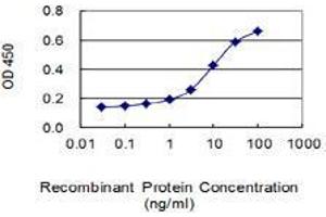 Detection limit for recombinant GST tagged BMP2K is 0. (BMP2K antibody  (AA 540-650))