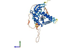 AlphaFold protein structure predicition of Human Recombinant MORF4L1 Protein, UniprotID Q9UBU8