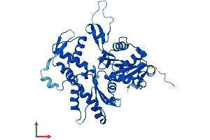 Protein Structure (PS) image for Alpha Centractin (ACTR1A) (AA 1-376) protein (His tag) (ABIN7556572)