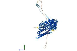 AlphaFold protein structure predicition of Human Recombinant INSC Protein, UniprotID Q1MX18 (INSC Protein (AA 1-579) (His tag))