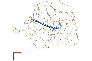 AlphaFold protein structure predicition of Human Recombinant TSC22D1 Protein, UniprotID Q15714 (TSC22D1 Protein (AA 1-1073) (His tag))