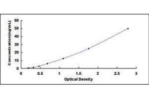 delta-Like 1 (DLL1) ELISA Kit