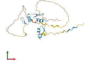 AlphaFold protein structure predicition of Mouse Recombinant Klf16 Protein, UniprotID P58334