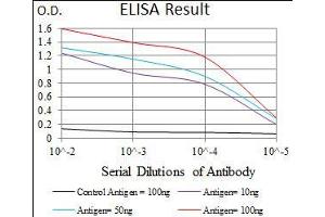 Black line: Control Antigen (100 ng), Purple line: Antigen(10 ng), Blue line: Antigen (50 ng), Red line: Antigen (100 ng), (PDE1B antibody  (AA 370-536))