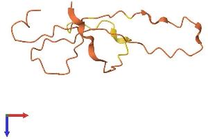 Keratin Associated Protein 3-3 (KRTAP3-3) (AA 1-98) protein (His tag)