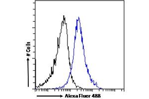 (ABIN185196) Flow cytometric analysis of paraformaldehyde fixed HEK293 cells (blue line), permeabilized with 0.
