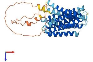 AlphaFold protein structure predicition of Mouse Recombinant Slc39a11 Protein, UniprotID Q8BWY7 (SLC39A11 Protein (AA 1-342) (His tag))