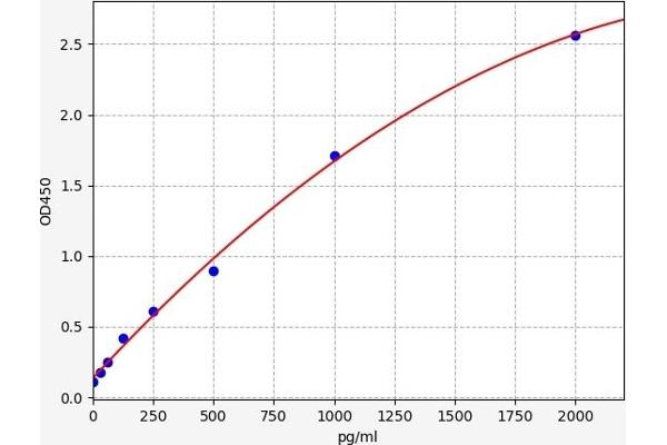 BTG3 ELISA Kit