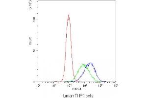 Flow cytometry testing of human THP1 cells with DC-SIGN antibody at 1ug/10^6 cells (blocked with goat sera) (DC-SIGN/CD209 antibody)
