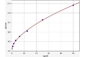 Typical standard curve (ALDH16A1 ELISA Kit)