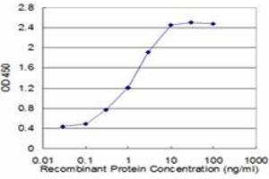 Detection limit for recombinant GST tagged TNKS is approximately 0. (TNKS antibody  (AA 1017-1124))