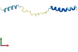 AlphaFold protein structure predicition of Human Recombinant SERP1 Protein, UniprotID Q9Y6X1 (SERP1 Protein (AA 1-66) (Fc Tag))