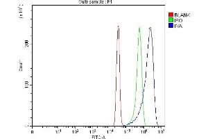 Flow Cytometry analysis of SiHa cells using anti-Alpha Internexin antibody (ABIN4886634). (INA antibody  (AA 71-161))