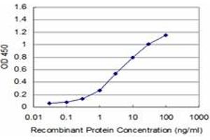 Detection limit for recombinant GST tagged PDK3 is approximately 0. (PDK3 antibody  (AA 174-263))