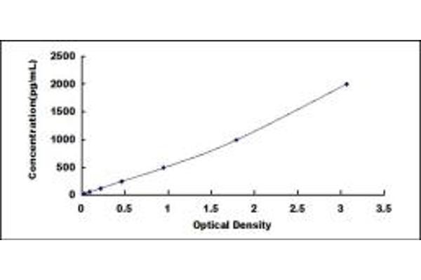NRN1 ELISA Kit
