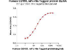 ELISA plate pre-coated by 2 μg/mL (100 μL/well) Human CD155, mFc-His tagged protein (ABIN6961100, ABIN7042229 and ABIN7042230) can bind Human TIGIT, hFc tagged protein ABIN6961144, ABIN7042317 and ABIN7042318 in a linear range of 1. (Poliovirus Receptor Protein (PVR) (AA 21-343) (mFc-His Tag))