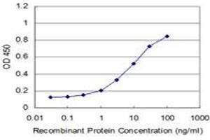 Detection limit for recombinant GST tagged RAX is approximately 0. (RAX antibody  (AA 104-206))