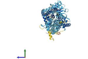 AlphaFold protein structure predicition of Human Recombinant PTCHD4 Protein, UniprotID Q6ZW05 (PTCHD4 Protein (AA 1-846) (His tag))