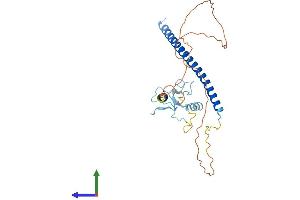 AlphaFold protein structure predicition of Human Recombinant THAP11 Protein, UniprotID Q96EK4 (THAP11 Protein (AA 1-314) (His tag))