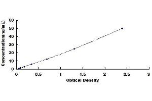 Typical standard curve (MMP11 ELISA Kit)