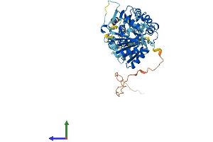 AlphaFold protein structure predicition of Human Recombinant DDX25 Protein, UniprotID Q9UHL0