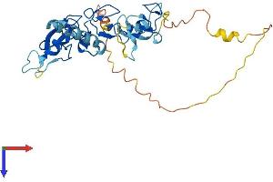 AlphaFold protein structure predicition of Human Recombinant ZNF330 Protein, UniprotID Q9Y3S2