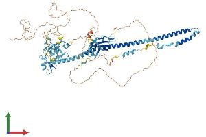Protein Structure (PS) image for Tripartite Motif Containing 42 (TRIM42) (AA 1-723) protein (His tag) (ABIN7544800)