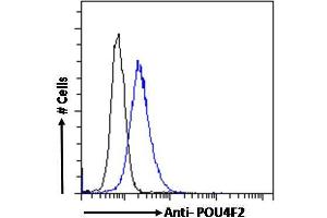 ABIN6391381 Flow cytometric analysis of paraformaldehyde fixed MCF7 cells (blue line), permeabilized with 0. (POU4F2 antibody  (Internal Region))