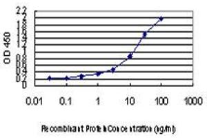 Detection limit for recombinant GST tagged GSR is approximately 0. (Glutathione Reductase antibody  (AA 413-522))
