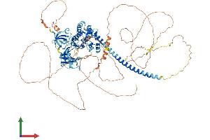 AlphaFold protein structure predicition of Mouse Recombinant Map3k11 Protein, UniprotID Q80XI6