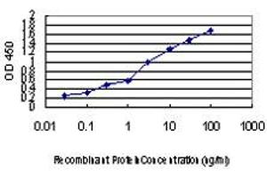 Detection limit for recombinant GST tagged FOXA2 is approximately 0. (FOXA2 antibody  (AA 363-457))