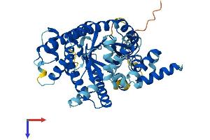 AlphaFold protein structure predicition of Mouse Recombinant Prodh2 Protein, UniprotID Q8VCZ9 (PRODH2 Protein (AA 1-456) (His tag))
