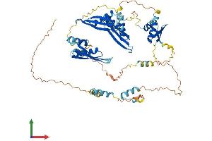 AlphaFold protein structure predicition of Mouse Recombinant Stau2 Protein, UniprotID Q8CJ67 (Double-stranded RNA-binding protein Staufen homolog 2 (STAU2) (AA 1-570) protein (His tag))