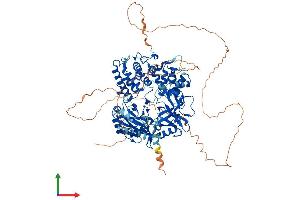 Protein Structure (PS) image for Ligase I, DNA, ATP-Dependent (LIG1) (AA 1-916) protein (His tag) (ABIN7563201)